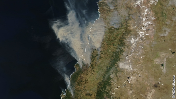 Désastre forestier au Chili
