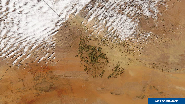 Bulles de verdure, sable et nuages saoudiens
